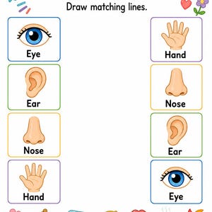 Clasificación de los cinco sentidos / Hojas de trabajo de los cinco sentidos / PDF imprimible / Descarga digital imagen 4