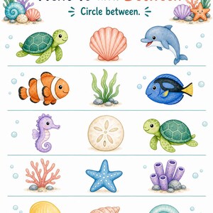 Seahorse Position Words | Position Worksheets | Printable PDF | Digital Download image 6