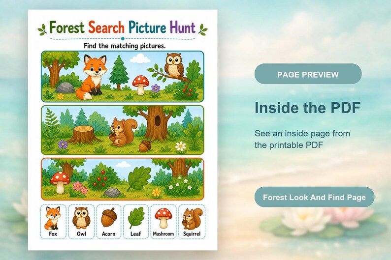 Im Wald suchen und finden | Schau und finde Arbeitsblätter | Druckbare PDF | Digitaler Download Bild 10