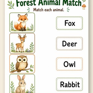 Amis des animaux de la forêt | Feuilles de travail sur les animaux | PDF imprimable | Téléchargement numérique image 9