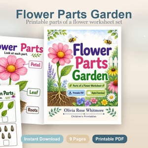 Flower Parts Garden | Parts of a Flower Worksheet | Printable PDF | Digital Download image 2