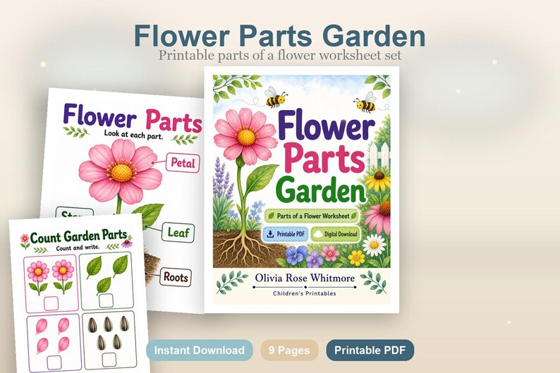 Flower Parts Garden | Parts of a Flower Worksheet | Printable PDF | Digital Download image 2