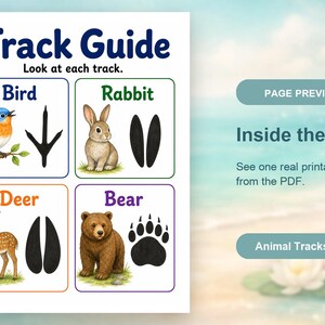 Animal Tracks Trail | Animal Tracks Worksheet | Printable PDF | Digital Download image 10