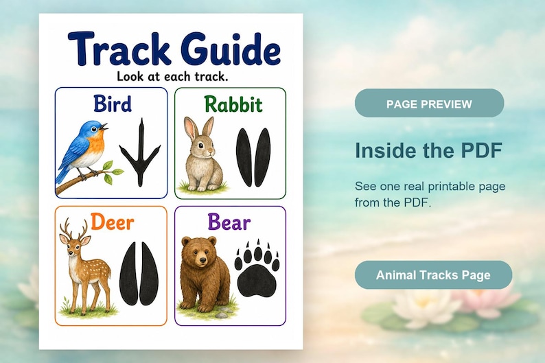 Animal Tracks Trail | Animal Tracks Worksheet | Printable PDF | Digital Download image 10
