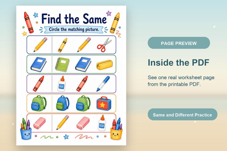 Same Different School | Same and Different Worksheets | Printable PDF | Digital Download image 10