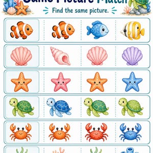 Pearl Match Cove | Folhas de Atividades de Correspondência | PDF para Imprimir | Download Digital imagem 6