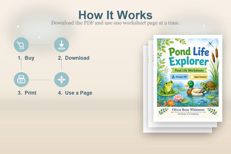 Pond Life Explorer | Pond Life Worksheets | Printable PDF | Digital Download image 8