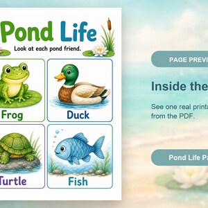 Pond Life Explorer | Pond Life Worksheets | Printable PDF | Digital Download image 10