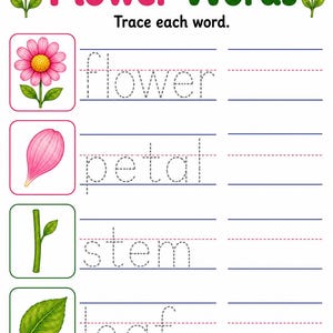 Flower Parts Garden | Parts of a Flower Worksheet | Printable PDF | Digital Download image 6