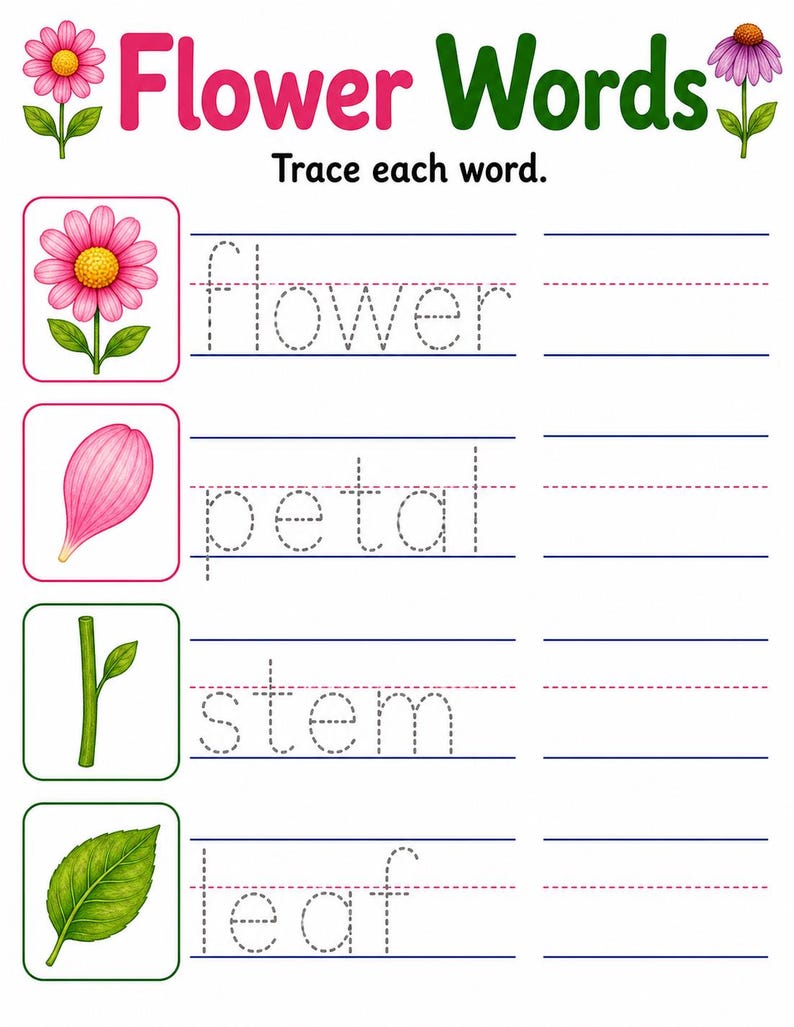 Flower Parts Garden | Parts of a Flower Worksheet | Printable PDF | Digital Download image 6