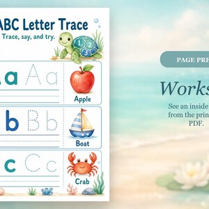 Turtle Number Steps | Preschool Worksheets | Printable PDF | Digital Download image 6