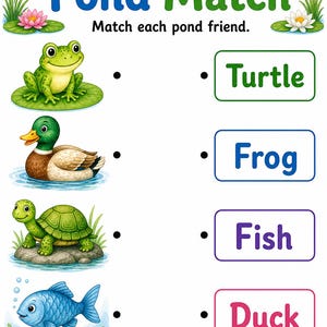 Pond Life Explorer | Pond Life Worksheets | Printable PDF | Digital Download image 4