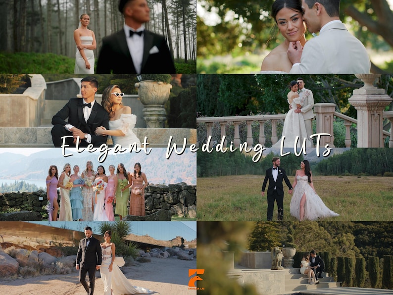 Pode incluir: Uma colagem de cenas de casamento com casais em trajes formais e damas de honra em vestidos pastel. O texto "Elegant Wedding LUTs" est&aacute; sobreposto na imagem. As cenas s&atilde;o ambientadas ao ar livre em v&aacute;rios locais.