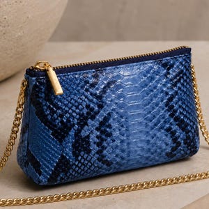 Puede incluir: Un pequeño bolso de mano rectangular azul con un estampado de piel de serpiente y una cadena dorada. El bolso de mano tiene una cremallera dorada y un ribete azul oscuro. La bolsa está hecha de un material texturizado.