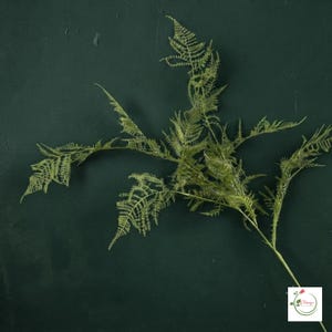 Decorative pine stem used in floral arrangement