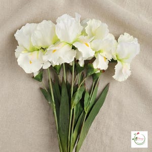 May include: A bouquet of artificial white iris flowers with ruffled petals and yellow centers. The flowers are attached to long, slender green stems with pointed, blade-like green leaves extending from the base of the floral arrangement.