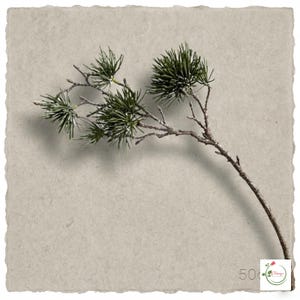 Artificial greenery arranged with white flowers