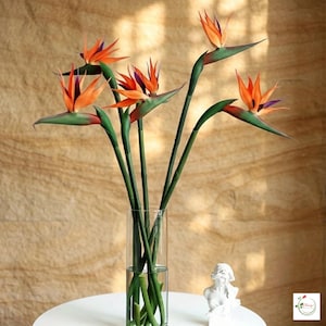Peut inclure: Un vase en verre transparent contenant cinq fleurs artificielles oiseau de paradis aux pétales orange vif, aux accents violet foncé et aux longues tiges vertes. Les fleurs sont disposées verticalement, mettant en valeur leur forme unique.