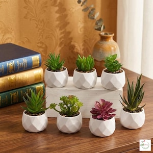 Plantas suculentas artificiales tipo bonsái – Mini cactus artificiales de hoja perenne para la decoración del hogar