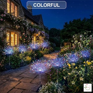 Può includere: Luci da giardino esterne con un design colorato a forma di fuochi d'artificio. Le luci sono installate lungo un sentiero di pietra, illuminando un giardino con fiori e una casa sullo sfondo. La parola "COLORFUL" è visualizzata.