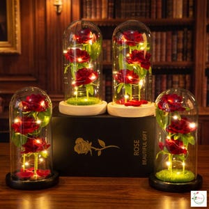 Könnte beinhalten: Vier Glaskuppeln mit roten Rosen und Lichterketten. Die Rosen werden auf einem Bett aus grünem Moos präsentiert. Die Kuppeln stehen auf Holz- und schwarzen Sockeln. Auf der zentralen Box steht "ROSE BEAUTIFUL GIFT".