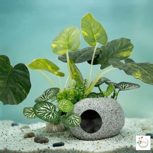 May include: An artificial aquarium plant arrangement featuring large green leaves with yellow accents, smaller green and white patterned leaves, and a gray stone cave. The plants are set in a sandy substrate with small pebbles.