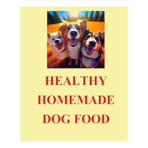 How to make Healthy Homemade Dog Food at home - extend the life of your pet - organic and healthy food, natural food, organic food