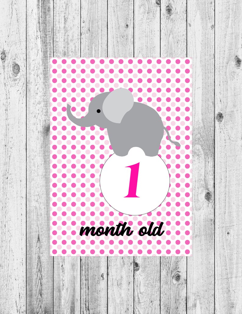 Printable 5x7 Child Milestone Playing cards, Purple Polka Dot Elephant Little one, Weeks 1-12, Boy or girl Picture Prop Playing cards photo about Dot Cards Printable referred to as Printable 5x7 Youngster Milestone Playing cards, Purple Polka Dot Elephant Boy or girl, Weeks 1-12, Boy or girl Image Prop Playing cards