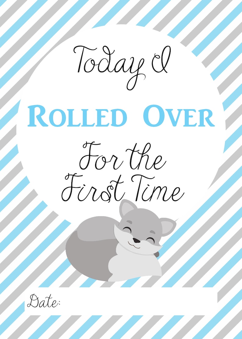 Baby Milestone Cards Baby Fox Blue and Gray Set of 32