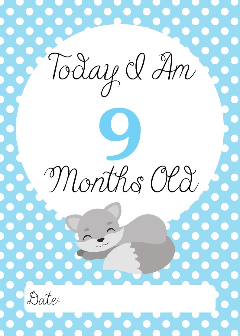 Baby Milestone Cards Baby Fox Blue and Gray Set of 32