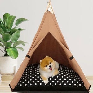 Funda moderna lavable para cama de gato y perro, especialmente diseñada para mascotas, 70 x 70 cm.