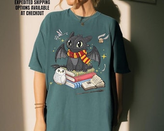 Night Fury Toothless Wizarding School T-Shirt, Comfort Colors Vintage Tee