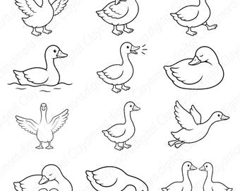 Peut inclure: Une collection de douze illustrations en noir et blanc au trait représentant des canards dans diverses postures, notamment debout avec les ailes déployées, nageant, marchant, au repos, volant et interagissant avec des canetons sur fond blanc.