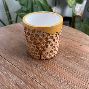 May include: A small, cylindrical planter with a textured, honeycomb-like pattern. The planter is tan with a gold-painted rim and a white interior. The planter is sitting on a wooden surface.