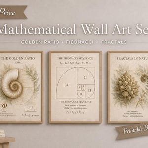 Könnte beinhalten: Ein Set aus drei gerahmten Wandbildern mit mathematischen Konzepten. Die Drucke zeigen den Goldenen Schnitt mit einem Nautilus-Gehäuse, die Fibonacci-Folge mit einer Zahlenspirale und Fraktale in der Natur mit einem Romanesco-Kohl.