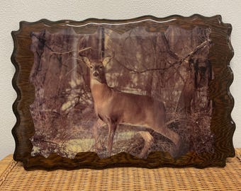 Vtg Lacquer Wood Wall Hanging Picture Lacquered Whitetail Deer Nature Man Cave