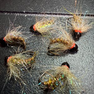 Ninfe Dancing Nancy Caddis Pupa - Confezione da 3 per la pesca a mosca