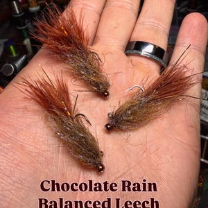 Puede incluir: Tres moscas de pesca marrones y doradas con anzuelos y cuentas marrones oscuras. Las moscas se muestran en una mano. El texto "Chocolate Rain Balanced Leech" está en la parte inferior de la imagen.