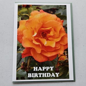 Peut inclure: Carte de vœux avec une rose orange vif en pleine floraison. La carte a une bordure blanche et un bord vert. Les mots "HAPPY BIRTHDAY" sont imprimés en lettres blanches grasses en bas de l'image.