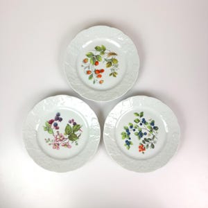 France Lierre Sauvage French Plates - Etsy