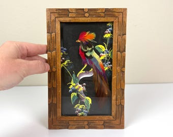 Cuadro de aves con plumas mexicanas de estilo vintage / Decoración de pared de arte popular con plumas hecha a mano / Arte enmarcado de aves exóticas / Marco rústico de madera tallada
