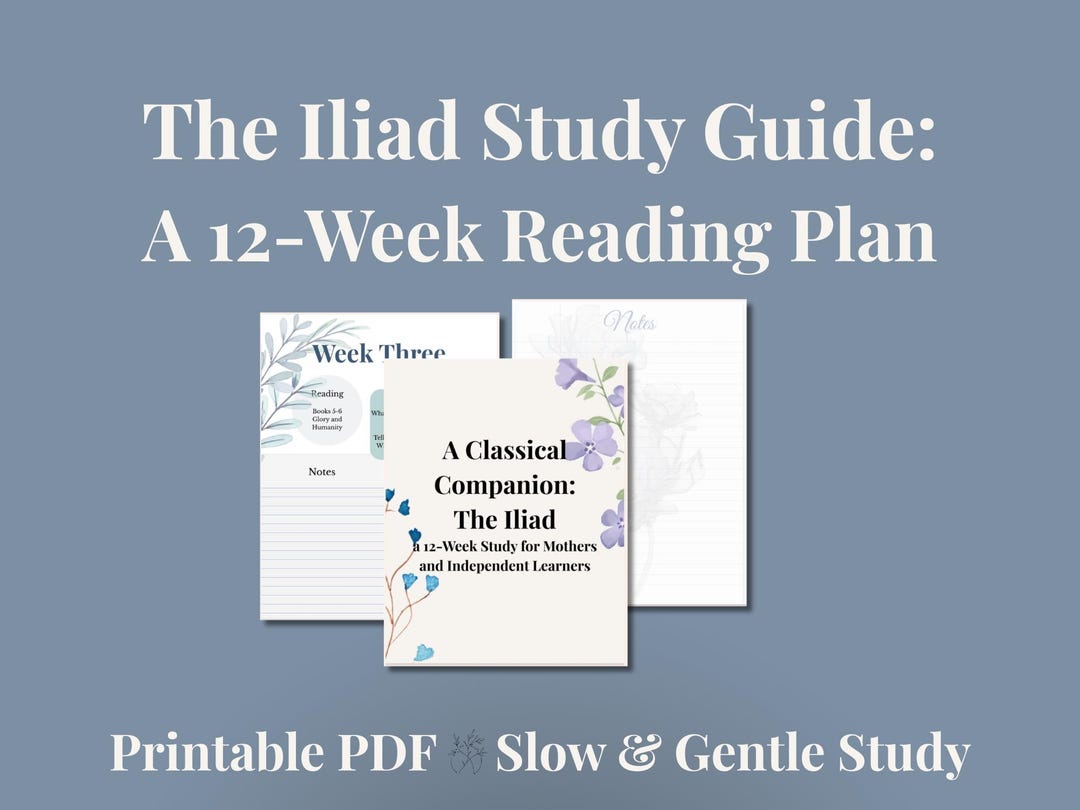 The Iliad Study Guide - Etsy