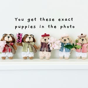 May include: Five plush puppy figures, each with unique outfits and accessories, stand in a row. The puppies wear hats, vests, and carry flowers. Text above reads, "You get these exact puppies in the photo."