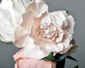 Sofia: Paper bouquet