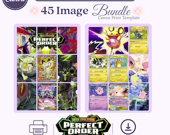 Perfect Order Art Bundle: Michi Method Binder Inserts Digital Download