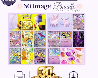 30th Celebration Art Bundle: Michi Method Binder Inserts Digital Download