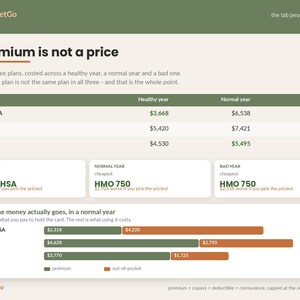 Open Enrollment Spreadsheet Template Excel Google Sheets | Health Insurance Plan Comparison, HSA FSA Calculator, Benefits Decision Tool image 3