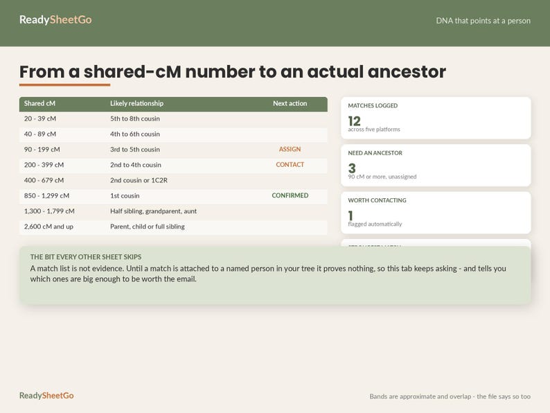 Family Tree Spreadsheet Template Excel Google Sheets | Genealogy Research Organizer, Pedigree Chart, DNA Match, Census and Ancestry Log image 5