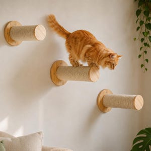 Wall Mounted Cat Climbing Steps with Sisal Scratching Post | Cat Stairway Shelves & Perch | Modern Cat Wall Furniture