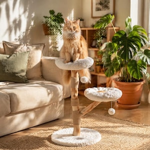 Peut inclure: Un arbre à chat avec une base et des plateformes blanches et moelleuses. L'arbre à chat est fait de bois et de corde, avec une plateforme supérieure blanche et moelleuse où un chat roux est assis. L'arbre à chat a deux pompons blancs suspendus.